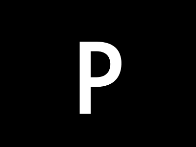 AI Vocabulary (Letter P)